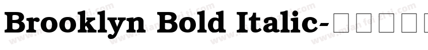 Brooklyn Bold Italic字体转换